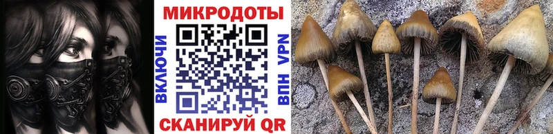 дарнет шоп  Грязовец  Псилоцибиновые грибы MAGIC MUSHROOMS 