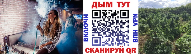 МАРИХУАНА семена  Грязовец 